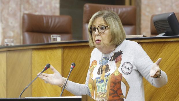 Adelaida de la Calle, consejera de Educación, en el Parlamento