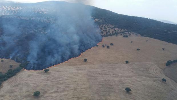 Imagen del fuego en la sierra de Fuente Obejuna, publicada por el Plan Infoca en Twitter