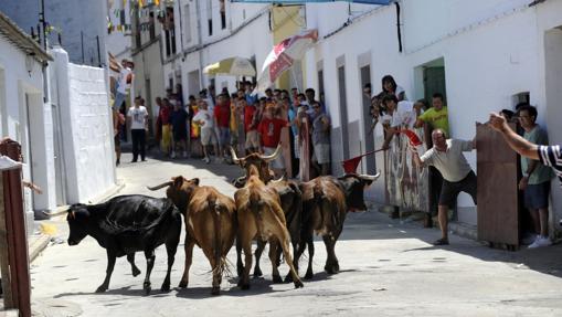 Los encierros son la cita más emblemática de la Feria de Santa Ana