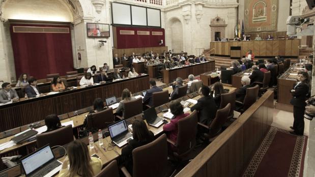 El Pleno del Parlamento de Andalucía ha refrendado la propuesta del Consejo de Gobierno