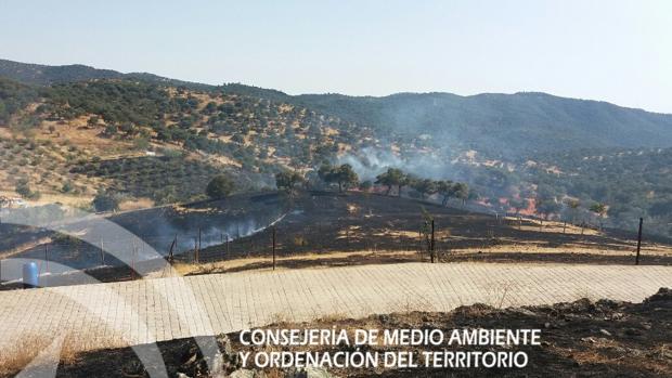 Fotografía publicada en Twitter por el Infoca una vez controlado el fuego