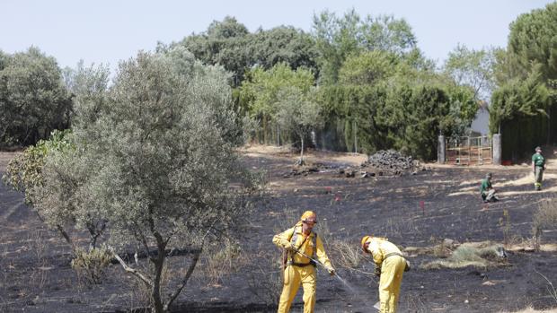 Extinguido el incendio forestal próximo a la urbanización Las Siete Fincas