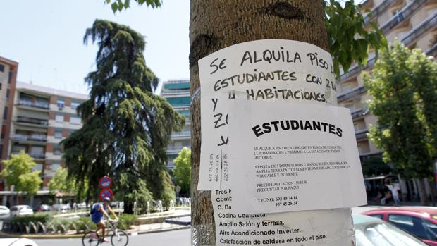 Anuncios de alquiler de pisos para estudiantes