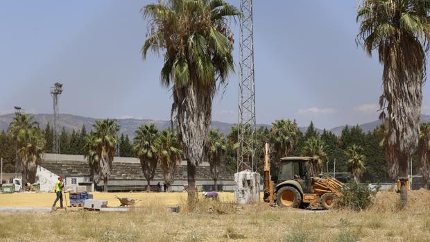 Estado de las obras en la Ciudad Deportiva Rafael Gómez