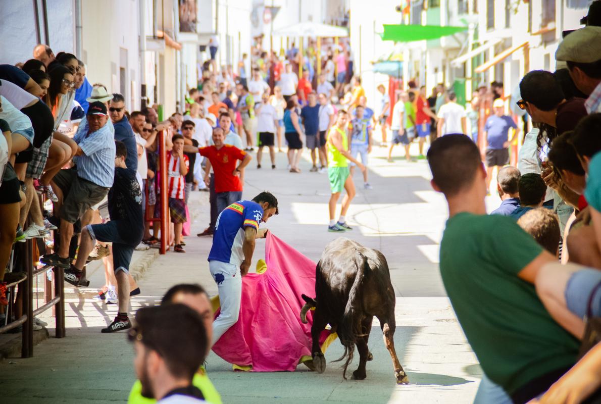 Suelta de vaquillas por las calles de Dos Torres en una imagen tomada ayer