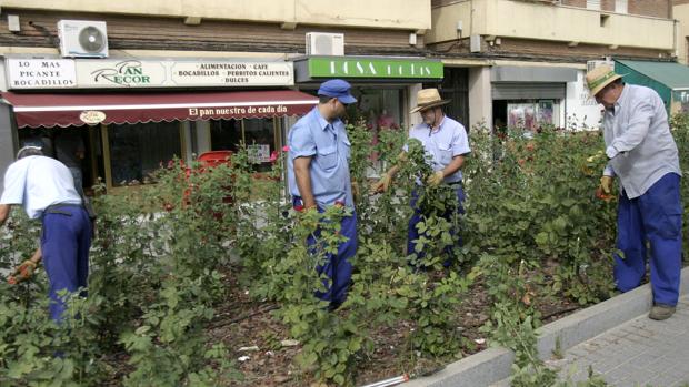 CTA exige un plan para rejuvenecer la plantilla del Ayuntamiento de Córdoba