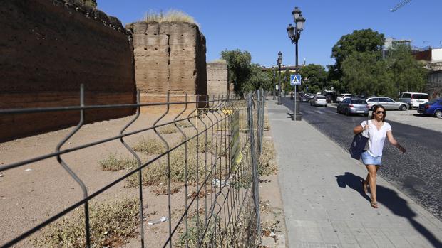 Una mujer se pasea por la acera donde irá el carril-bici de la Ronda del Marrubial