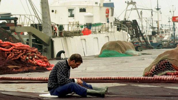 Boquerones, chirlas y coquinas, en el punto de mira por sobrexplotación en la costa