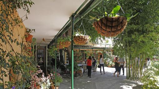 Patio de la plaza de las Tazas