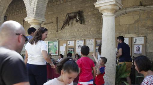 El caimán, en el muro del Santuario de la Fuensanta