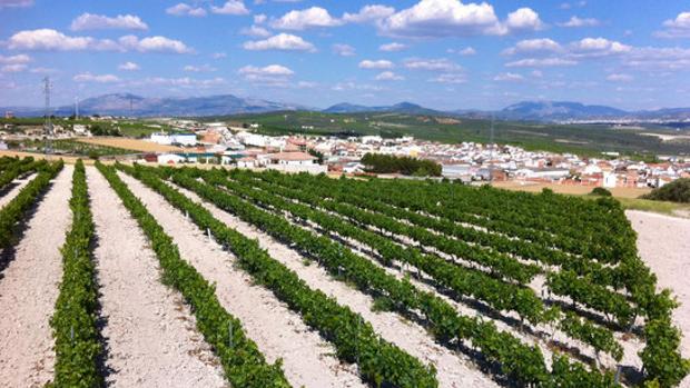 Diez carreteras de Córdoba con preciosas vistas en coche