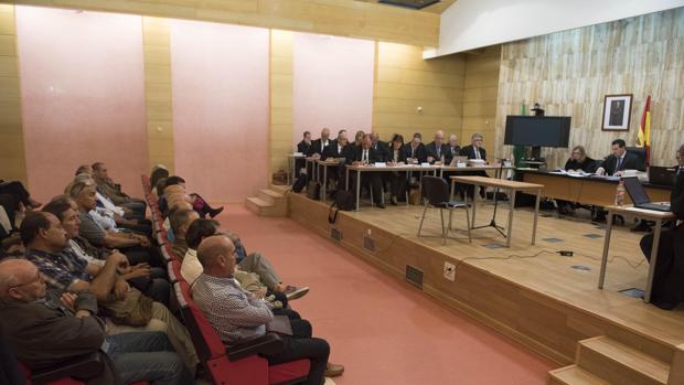 Medio centenar de acusados, sentados en el banquillo en una sala habilitada por la Audiencia de Granada