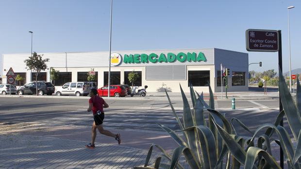 Córdoba aporta el 31% del aceite de oliva que se comercializa con la marca Hacendado