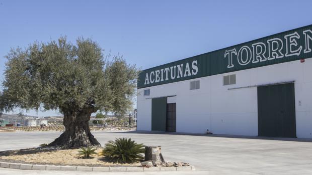 Planta de Aceitunas Torrent en Aguilar de la Frontera