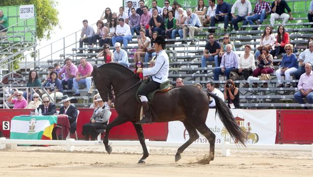 Exhibición ecuestre de la pasada edición del Salón Internacional del Caballo de Córdoba