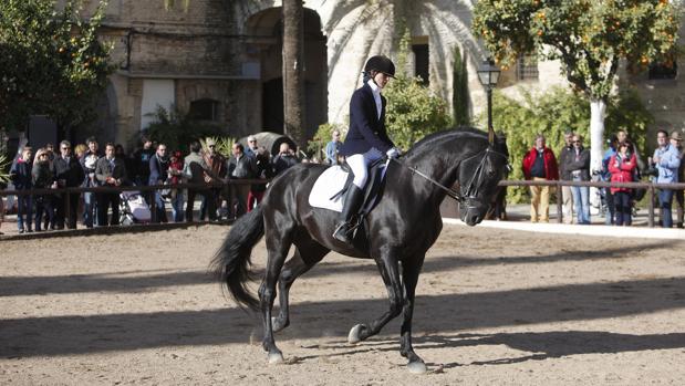 Una amazona a lomos de un caballo en una anterior edición de la cita