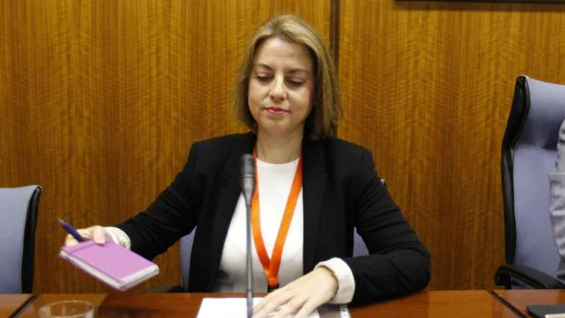 Irene Sabalete, ex elegada de Empleo de Jaén, exculpada del caso Formación