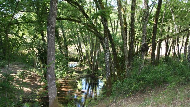 Imagen de uno de los tramos del Arroyo Bejarano