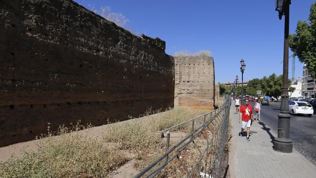 Aspecto actual de la Ronda del Marrubial