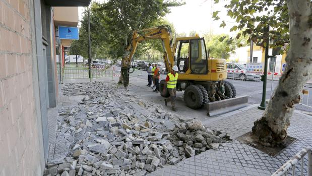 Reforma de la avenida Cervantes, perteneciente al actual plan de obras del Ayuntamiento de Córdoba