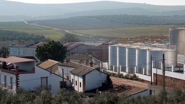 Tecnóleum, en el polígono montoreño de Camino de Morente