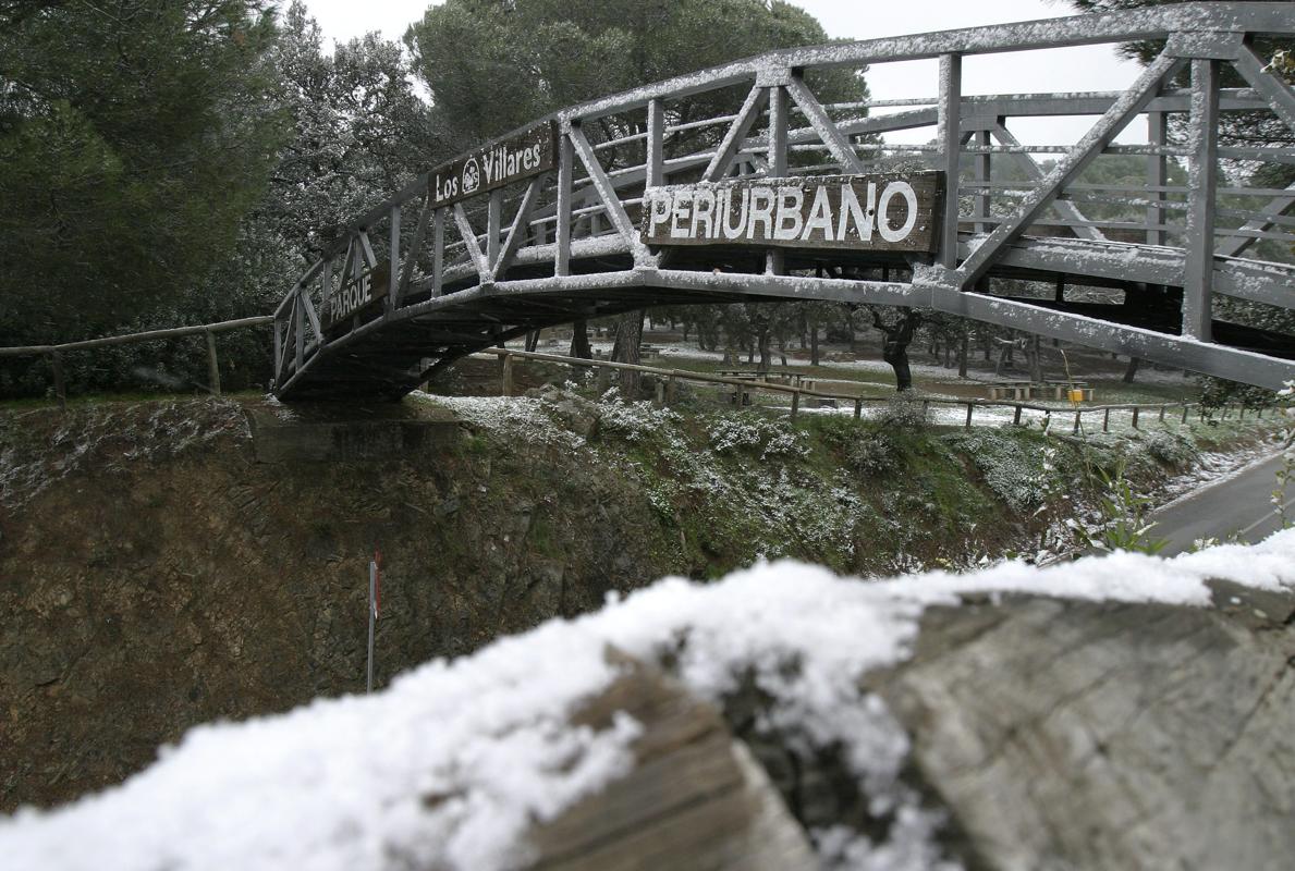 Nevada caída en el parque periurbano de Los Villares