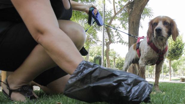 Una mujer recoge los excrementos de su perro en un parque