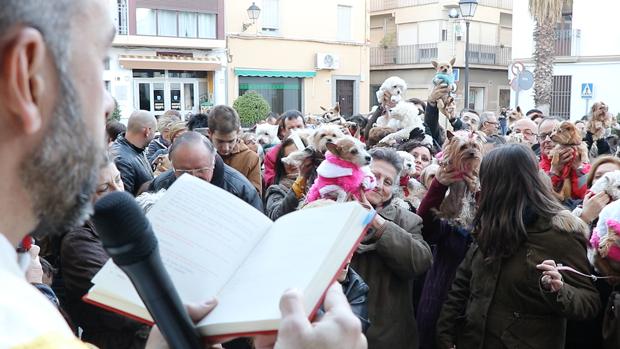 Francisco de Asís Roldán da la bendición generalizada a las mascotas lucentinas