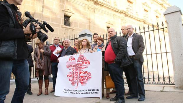 Representantes de las plataformas sanitarias de Granada