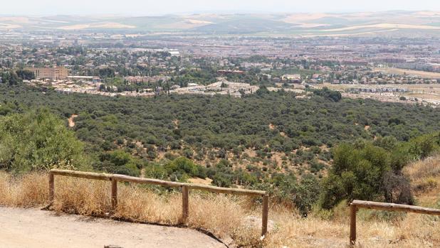 El Ayuntamiento empieza a tramitar la ordenación del parque público «El Patriarca»