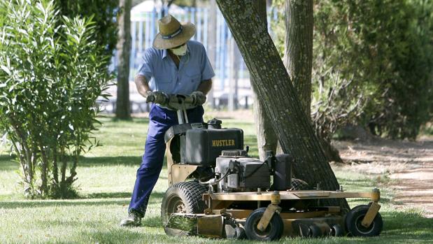 Un jardinero municipal trabaja en el Parque Cruz Conde