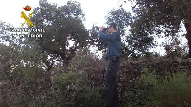 Un guardia civil en la sierra