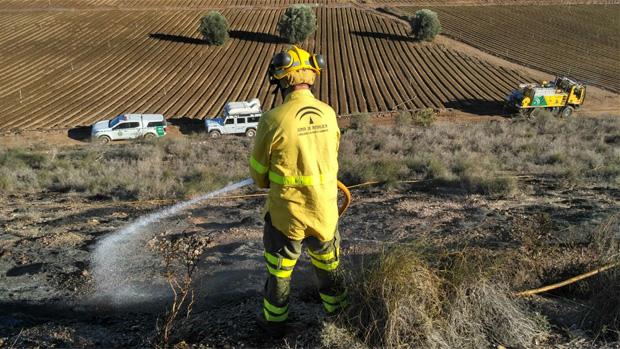 El trabajador del Infoca ha fallecido mientras realizaba tareas preventivas contra incendios forestales