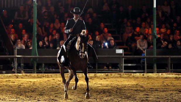 Espectáculo ecuestre en Caballerizas Reales