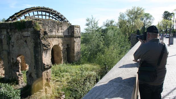 Noria de la Albolafia, cercada por la vegetación