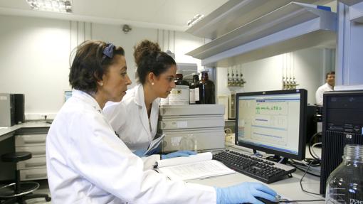 Trabajadoras de Pérez Giménez, cuando su planta de Almodóvar aún operaba