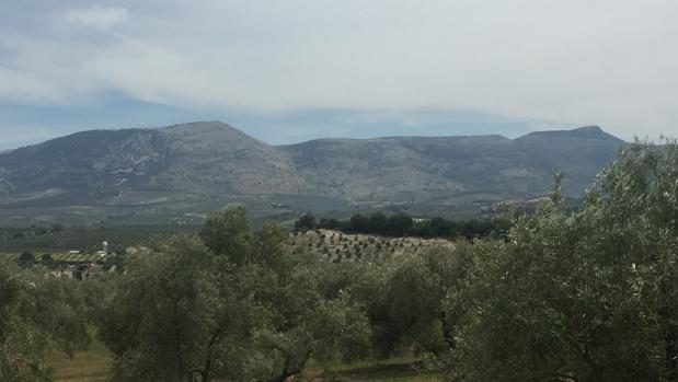 Fallece un hombre al quedar atrapado por el tractor que conducía en una finca