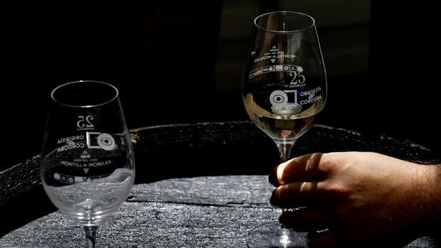 Las copas que han sustituido a los catavinos en la Cata del Vino Montilla-Moriles