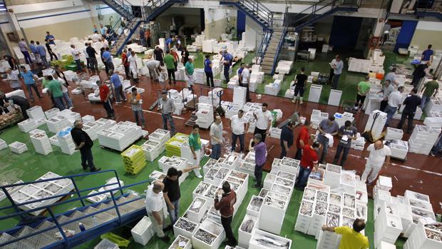 Lonja de pescado en Mercacórdoba