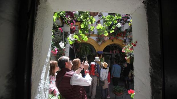 Un visitante en un patio, este lunes