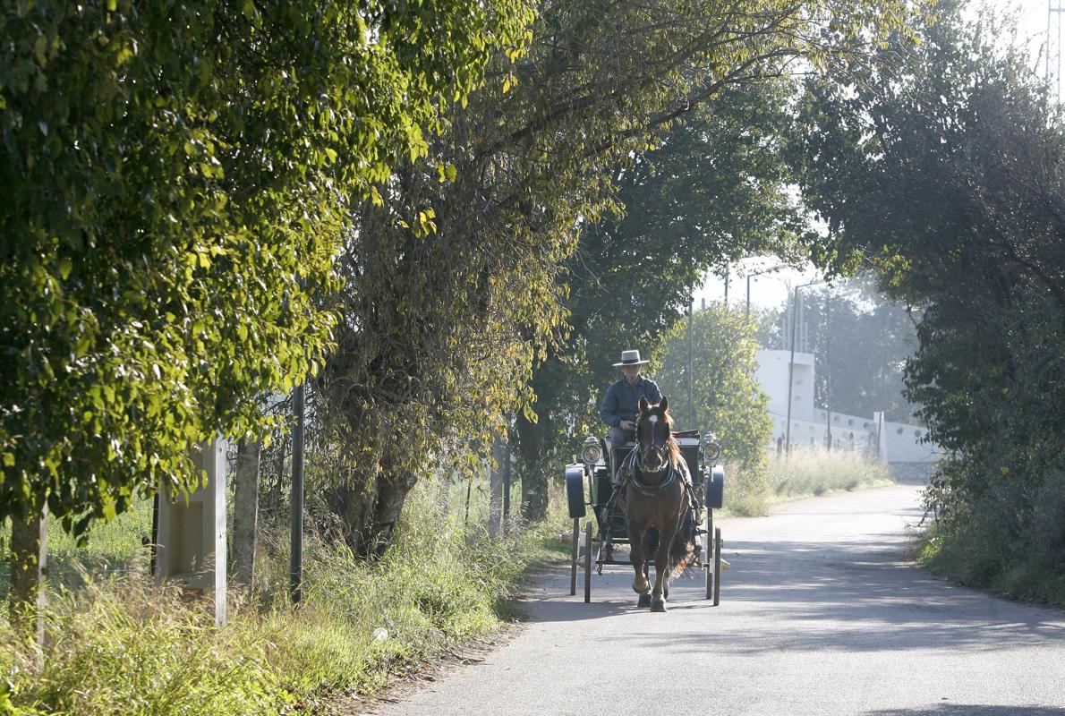 Camino de la Barca, en la capital cordobesa