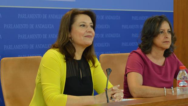 Carmen Crespo, durante su intervención este miércoles