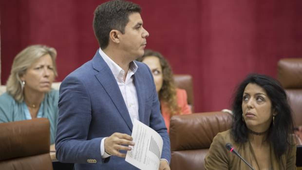 El portavoz adjunto de Ciudadanos en el Parlamento andaluz, Sergio Romero