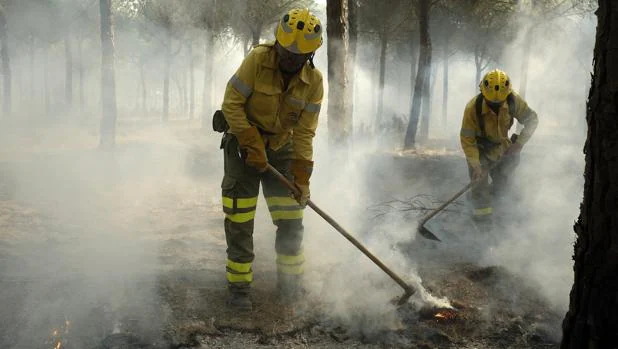 Bomberos que participan en las tareas de extinción del incendio de Moguer
