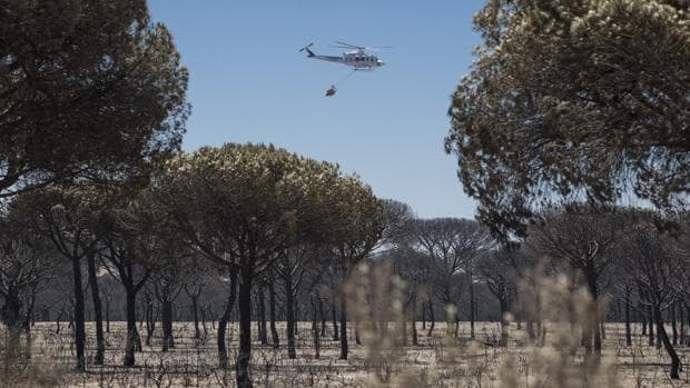 Un helicóptero del INFOCA sobrevuela un pinar completamente calcinado durante las labores de extinción