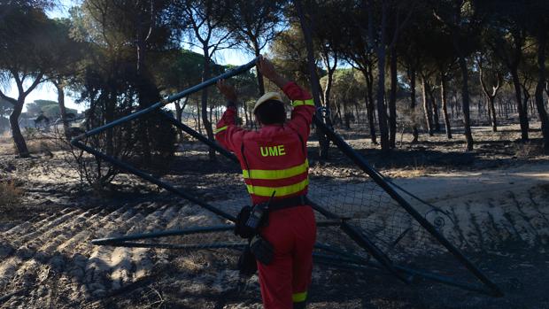 Vuelven a casa las 230 personas que permanecían desalojadas a causa del incendio forestal en Doñana