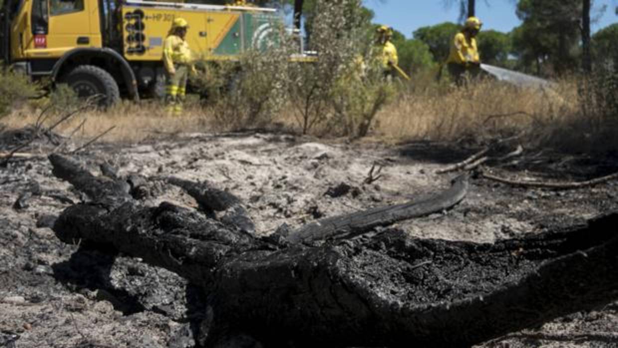 Efectivos del Infoca realizan labores de refresco tras el incendio forestal