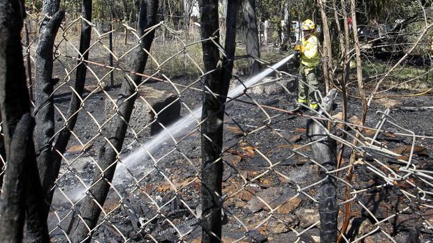 Un incendio de pastos y rastrojos sobresalta Córdoba la Vieja