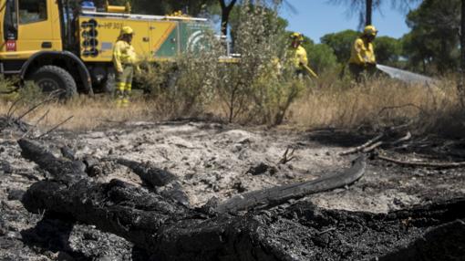 Operarios en la zona del incendio