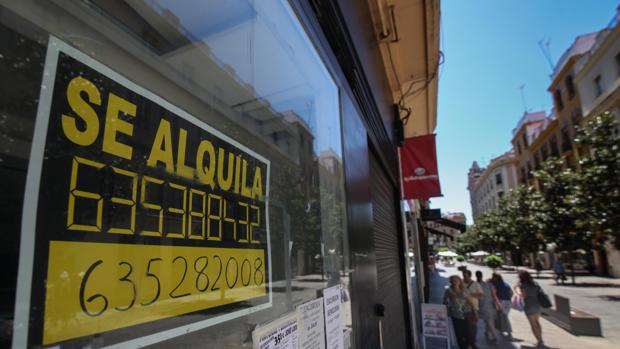 La calle Cruz Conde de Córdoba se llena de liquidaciones, traspasos y locales vacíos